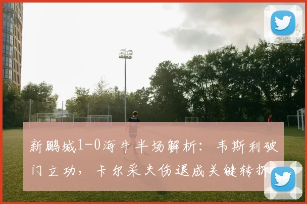 新鹏城1-0海牛半场解析：韦斯利破门立功，卡尔采夫伤退成关键转折